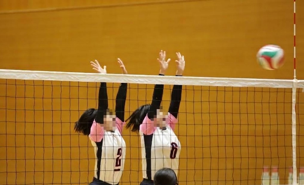 写真：バレーボール部
