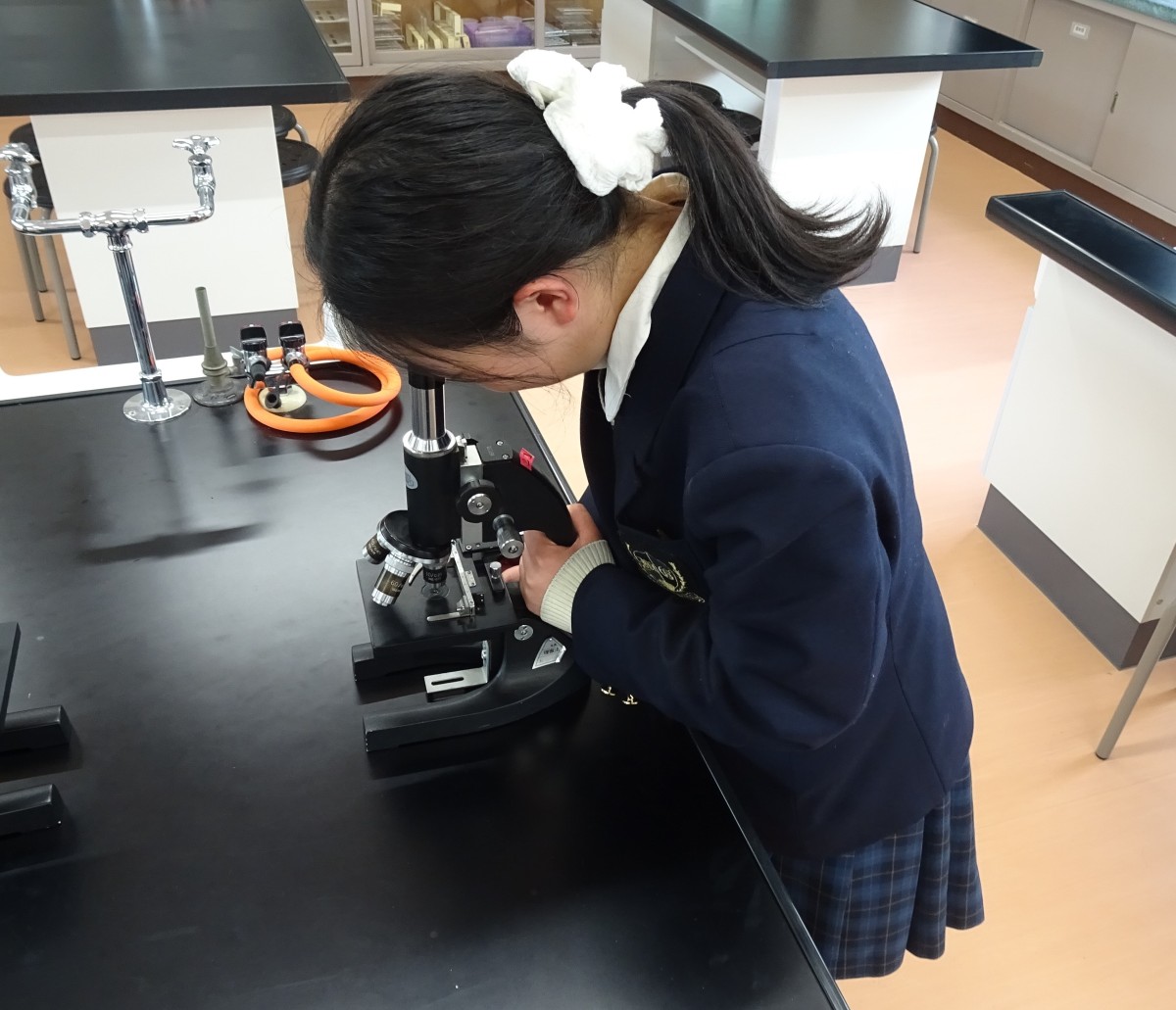 写真：自然科学部